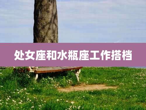 处女座和水瓶座工作搭档