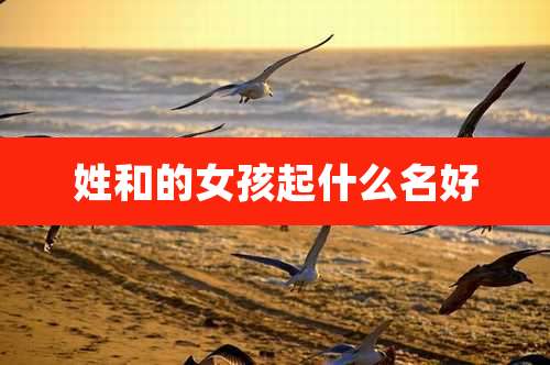 姓和的女孩起什么名好