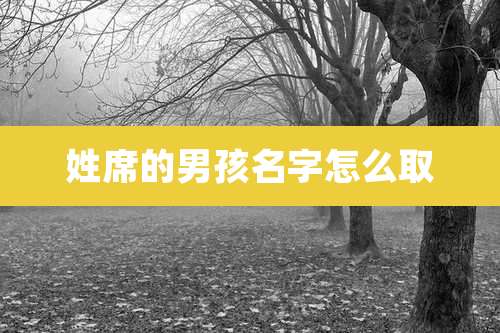 姓席的男孩名字怎么取