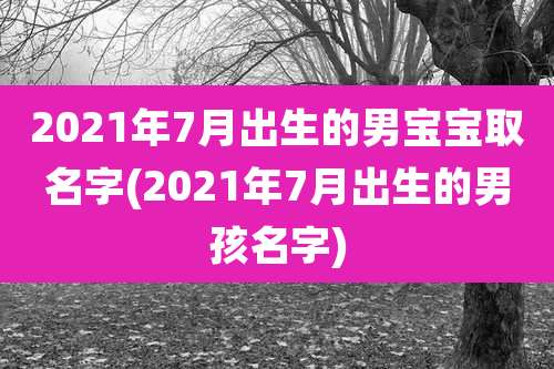 2021年7月出生的男宝宝取名字(2021年7月出生的男孩名字)