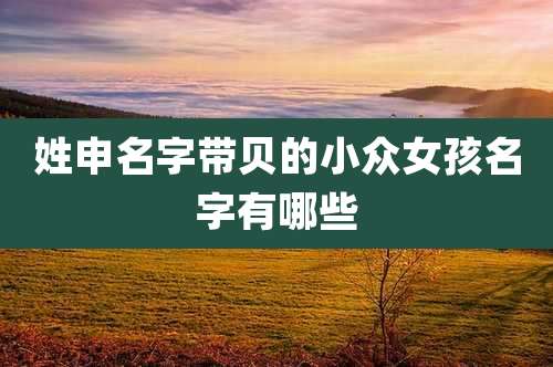 姓申名字带贝的小众女孩名字有哪些
