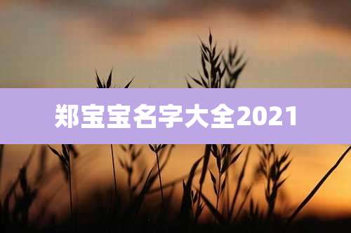 郑宝宝名字大全2021