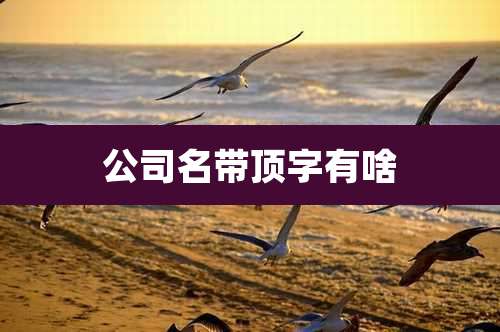 公司名带顶字有啥