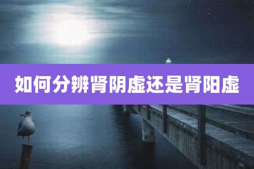如何分辨肾阴虚还是肾阳虚