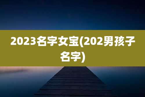 2023名字女宝(202男孩子名字)