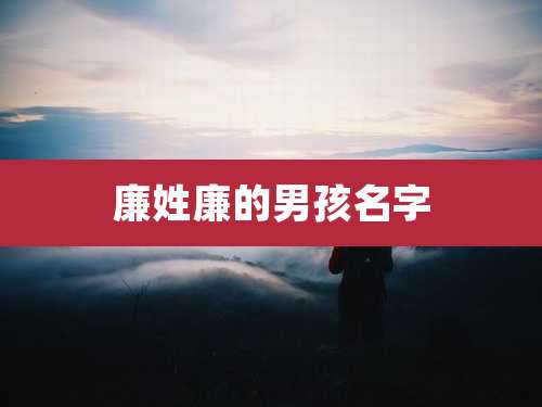 廉姓廉的男孩名字