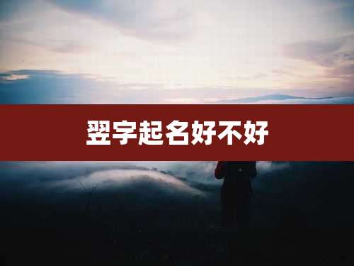 翌字起名好不好