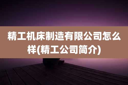 精工机床制造有限公司怎么样(精工公司简介)