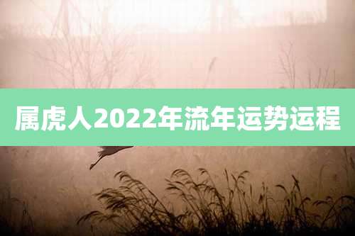 属虎人2022年流年运势运程