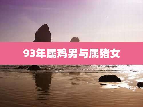 93年属鸡男与属猪女