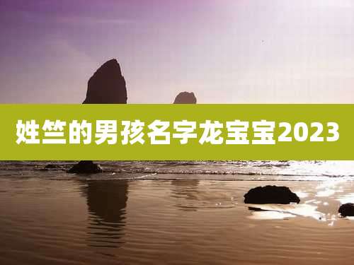 姓竺的男孩名字龙宝宝2023