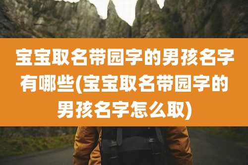 宝宝取名带园字的男孩名字有哪些(宝宝取名带园字的男孩名字怎么取)