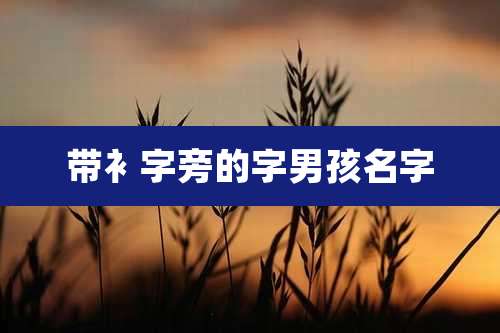 带衤字旁的字男孩名字