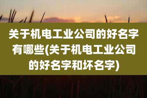 关于机电工业公司的好名字有哪些(关于机电工业公司的好名字和坏名字)