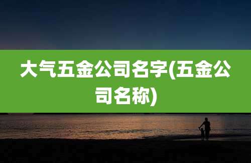 大气五金公司名字(五金公司名称)