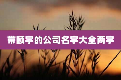 带颐字的公司名字大全两字