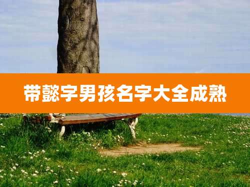 带懿字男孩名字大全成熟
