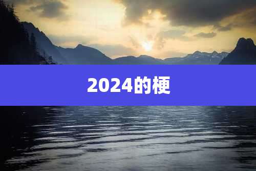 2024的梗