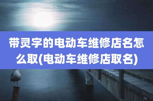 带灵字的电动车维修店名怎么取(电动车维修店取名)