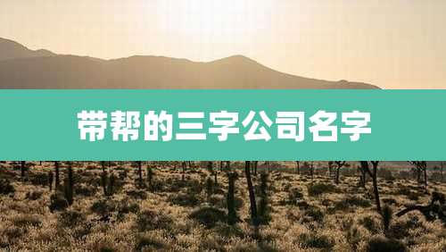 带帮的三字公司名字