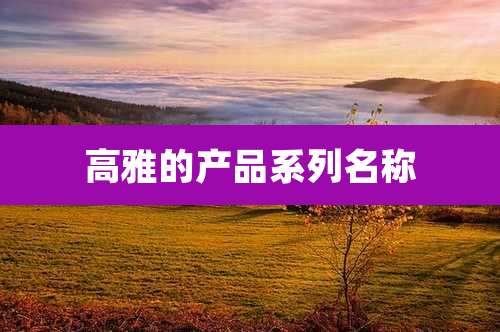 高雅的产品系列名称