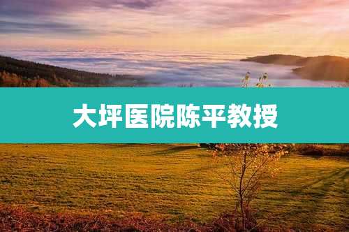 大坪医院陈平教授