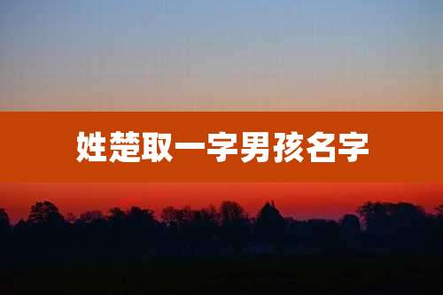 姓楚取一字男孩名字
