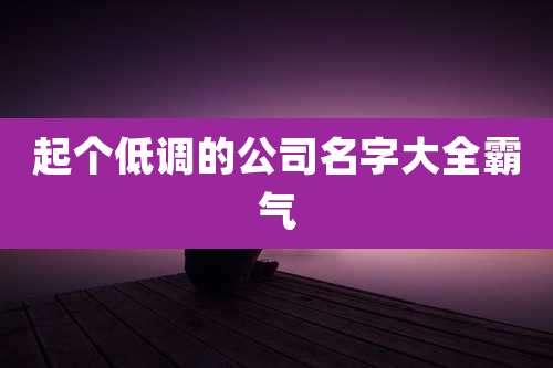 起个低调的公司名字大全霸气