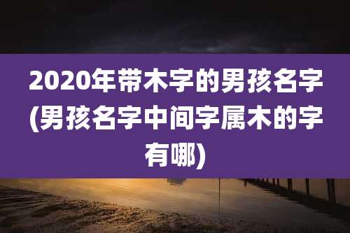 2020年带木字的男孩名字(男孩名字中间字属木的字有哪)