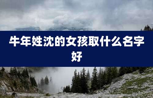 牛年姓沈的女孩取什么名字好