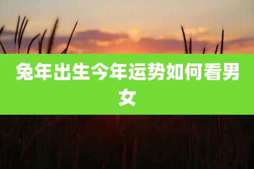 兔年出生今年运势如何看男女