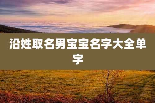 沿姓取名男宝宝名字大全单字