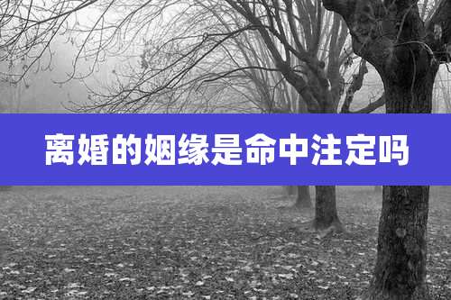 离婚的姻缘是命中注定吗