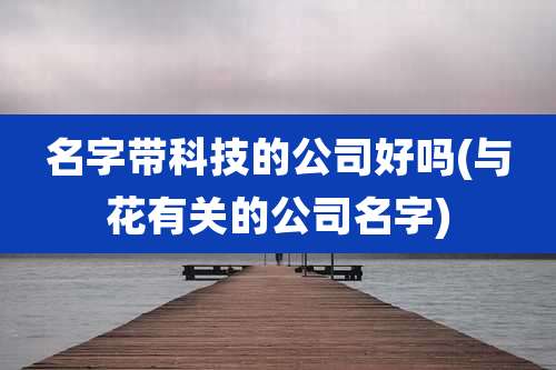 名字带科技的公司好吗(与花有关的公司名字)