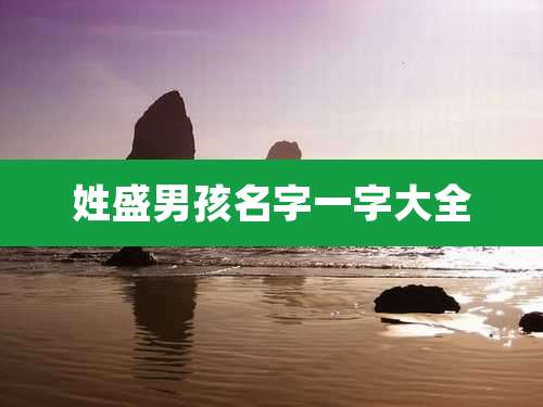 姓盛男孩名字一字大全