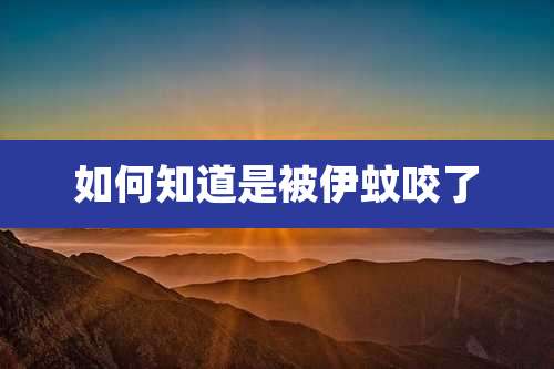 如何知道是被伊蚊咬了