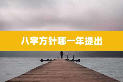 八字方针哪一年提出