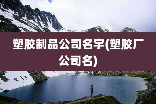 塑胶制品公司名字(塑胶厂公司名)