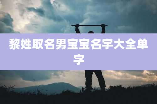 黎姓取名男宝宝名字大全单字