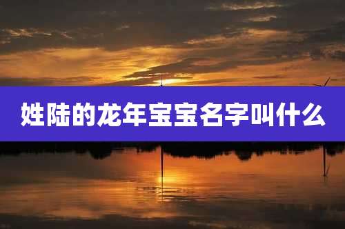 姓陆的龙年宝宝名字叫什么