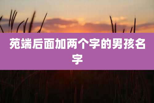 苑端后面加两个字的男孩名字