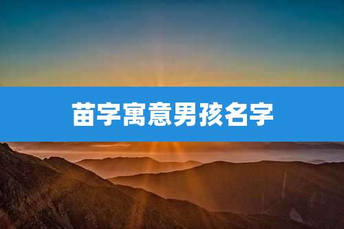 苗字寓意男孩名字