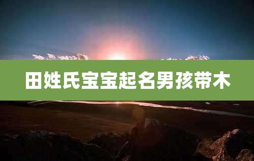 田姓氏宝宝起名男孩带木