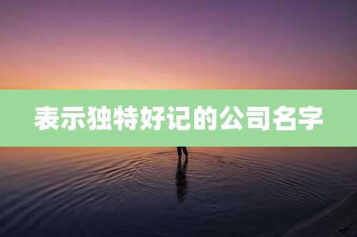 表示独特好记的公司名字