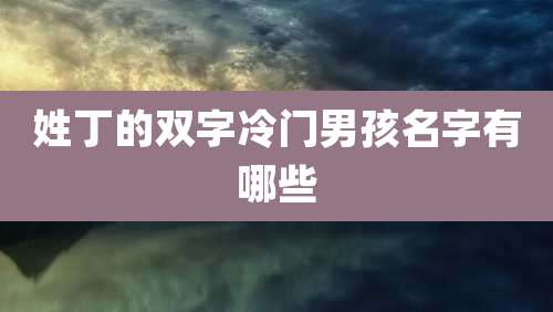 姓丁的双字冷门男孩名字有哪些