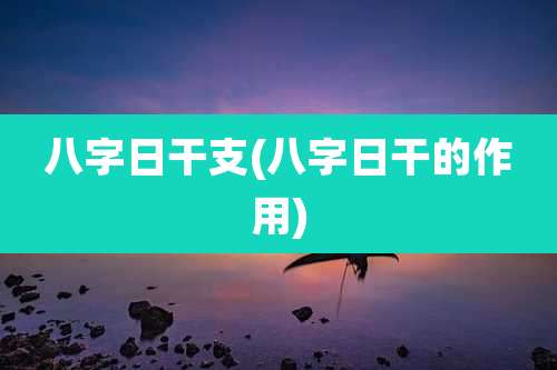 八字日干支(八字日干的作用)