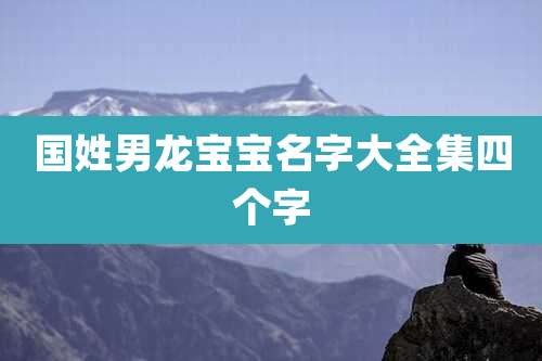 国姓男龙宝宝名字大全集四个字