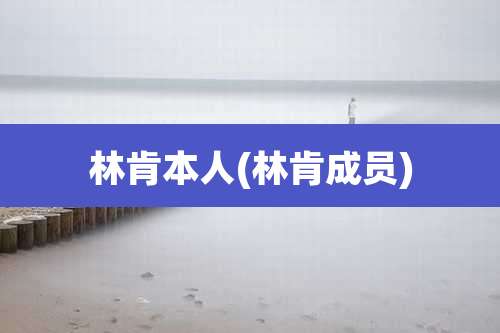 林肯本人(林肯成员)