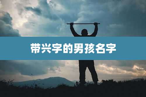带兴字的男孩名字