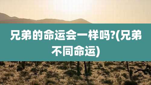 兄弟的命运会一样吗?(兄弟不同命运)